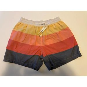 Chubbies Multicolor Shorts - Large